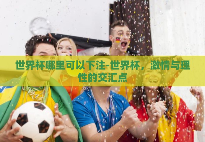 世界杯哪里可以下注-世界杯，激情与理性的交汇点