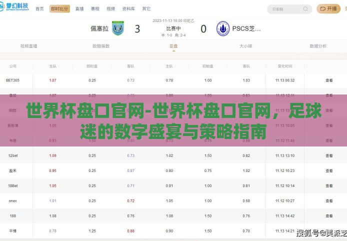 世界杯盘口官网-世界杯盘口官网,足球迷的数字盛宴与策略指南 世界杯盘口官网-世界杯盘口官网,足球迷的数字盛宴与策略指南