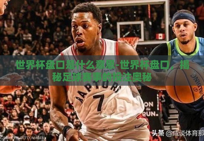 世界杯盘口是什么意思-世界杯盘口,揭秘足球赛事的投注奥秘 世界杯盘口是什么意思-世界杯盘口,揭秘足球赛事的投注奥秘