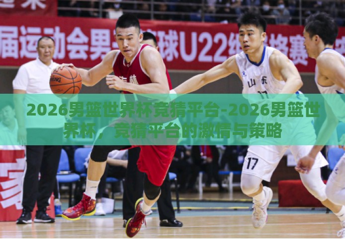2026男篮世界杯竞猜平台-2026男篮世界杯，竞猜平台的激情与策略