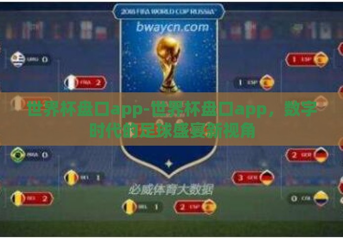 世界杯盘口app-世界杯盘口app，数字时代的足球盛宴新视角