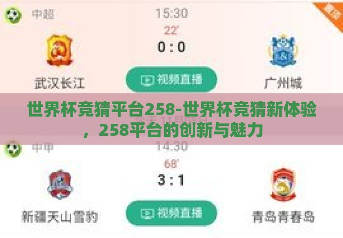 世界杯竞猜平台258-世界杯竞猜新体验，258平台的创新与魅力