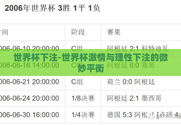 世界杯下注-世界杯激情与理性下注的微妙平衡