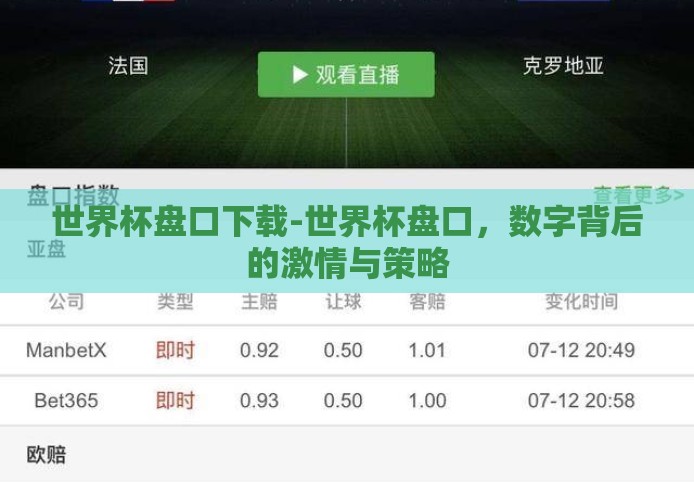 世界杯盘口下载-世界杯盘口，数字背后的激情与策略