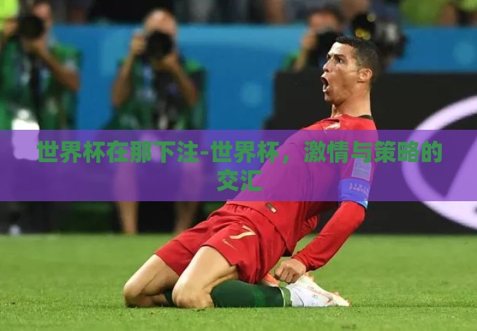 世界杯在那下注-世界杯，激情与策略的交汇