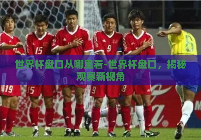 世界杯盘口从哪里看-世界杯盘口,揭秘观赛新视角 世界杯盘口从哪里看-世界杯盘口,揭秘观赛新视角