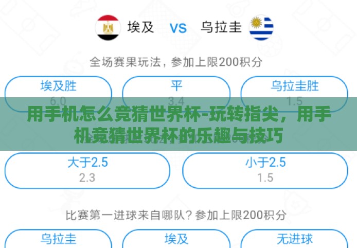 用手机怎么竞猜世界杯-玩转指尖，用手机竞猜世界杯的乐趣与技巧