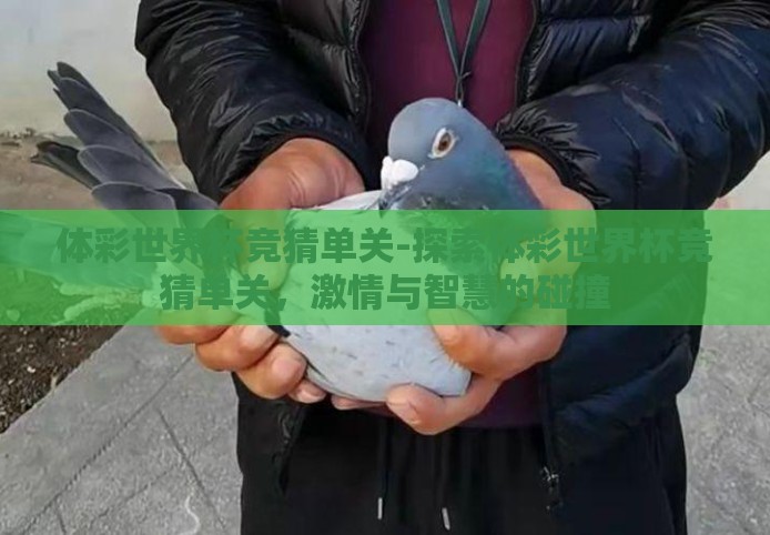体彩世界杯竞猜单关-探索体彩世界杯竞猜单关，激情与智慧的碰撞