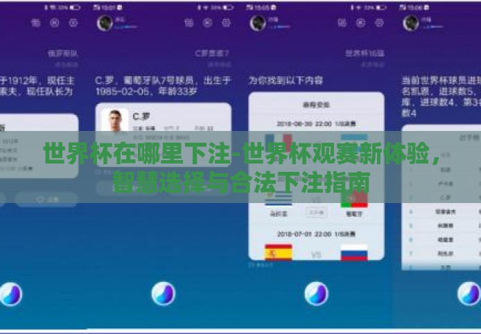 世界杯在哪里下注-世界杯观赛新体验，智慧选择与合法下注指南