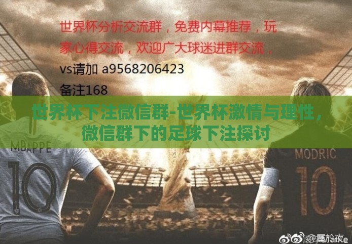 世界杯下注微信群-世界杯激情与理性，微信群下的足球下注探讨