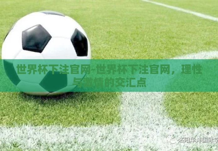 世界杯下注官网-世界杯下注官网，理性与激情的交汇点
