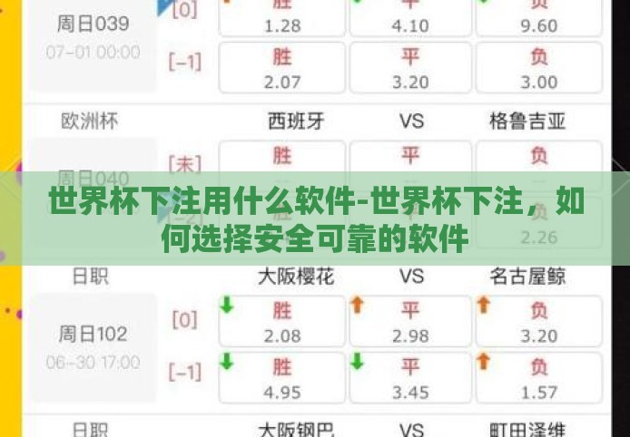 世界杯下注用什么软件-世界杯下注，如何选择安全可靠的软件