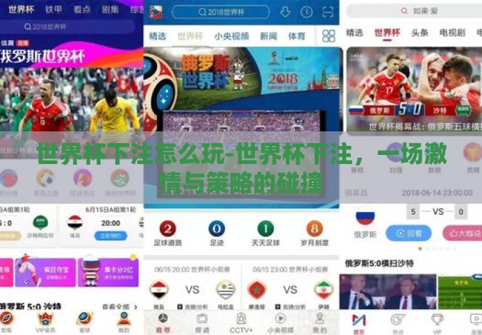 世界杯下注怎么玩-世界杯下注，一场激情与策略的碰撞