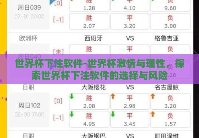世界杯下注软件-世界杯激情与理性，探索世界杯下注软件的选择与风险