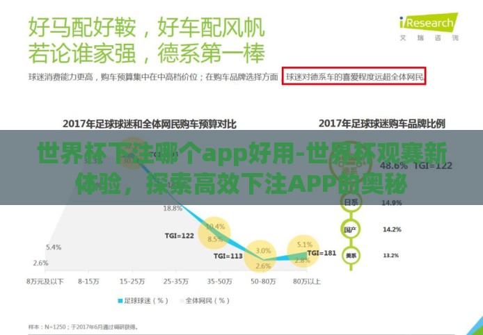 世界杯下注哪个app好用-世界杯观赛新体验，探索高效下注APP的奥秘
