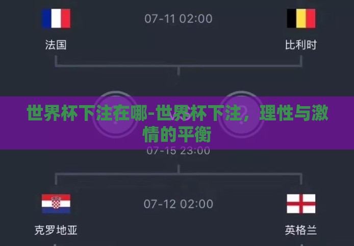 世界杯下注在哪-世界杯下注，理性与激情的平衡