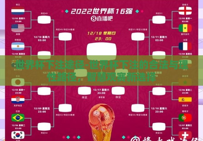 世界杯下注途径-世界杯下注的合法与理性路径,智慧观赛新选择 世界杯下注途径-世界杯下注的合法与理性路径,智慧观赛新选择